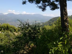 Le Jardin Des Peintres - Le Jardin