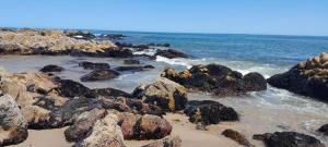 Calma ya estás en la Playa