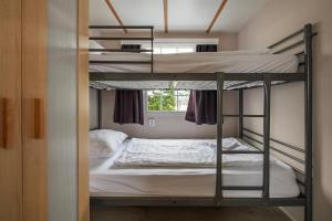 42, Cottage - Oisterwijk - Nature