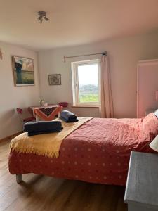 Cosy nest on the West Cork coast