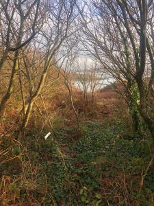 Cosy nest on the West Cork coast