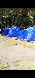 CMB Tenda Reguler Pantai Madasari