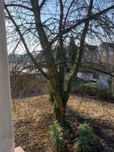 Business Apartment Herne-Wanne