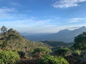 Ella Nest View Homestay