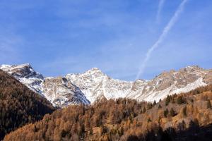 Hotel Alpino Wellness & Spa