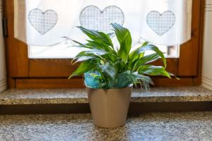 Casa Terra Mia img19