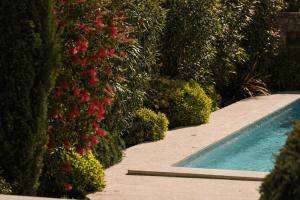 Casa Labobina near Rovinj for 8 persons with private 32 m2 heated pool - pet friendly