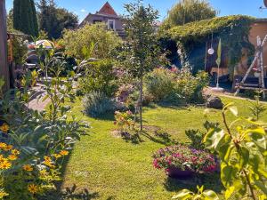 Zur gemütlichen Weinlaube