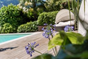 Residence Fischerhof