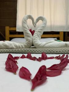 Pashpanchu Yasuní Lodge