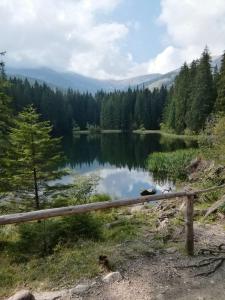 SAFFRON Chalet Jasná