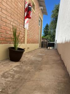 Lascasitasdesalvador 7