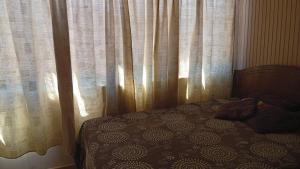 Piezas amobladas por dia