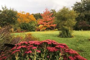Pomme dHappy - 1 chambre