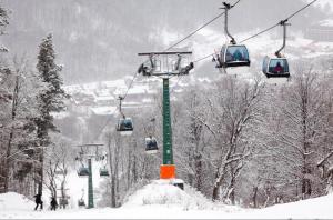 Bakuriani Crystal Ville Apartment