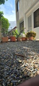 Suite en zona exclusiva