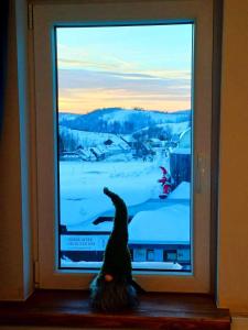 Bergstadthaus Sankt Andreasberg für Familien und Freunde