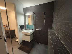 Luxury apartment in Zurich with Parking