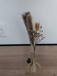 Confort et Design-Prés de la Cathédrale