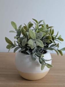 Confort et Design-Prés de la Cathédrale