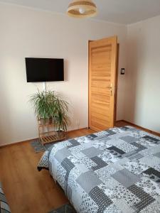 Pokoje w centrum Mikołajek