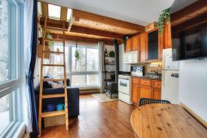 Le Tiny loft ski in ski out