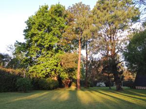 La Rosa de los Vientos km54