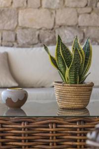 Anesea By Milos Concierge