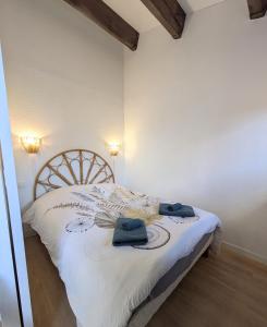 Maisonnette bord de Lagune et Plage St Cyprien