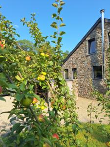 Le Clos du Cerf - La Renardière