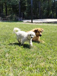 Los Grillos Cabañas Serranas