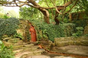 Pheonix Cottage on Glastonbury Tor