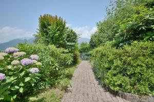 Miralago Lake Maggiore Gambarogno