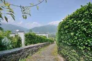 Miralago Lake Maggiore Gambarogno