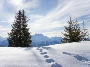 Apartment Hyacinthe 14 by Interhome