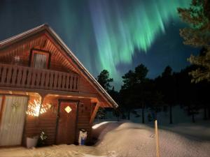 Cozy Mountain Cabin in Senja