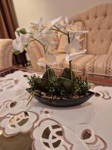 Mountain Heaven Downtown