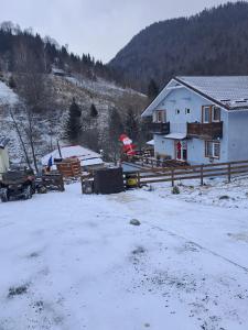 Casa Tudor Dâmbovicioara