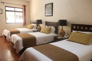 Hotel Plaza San Carlos