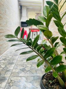 Casa ampla e familiar, conforto e sossego na praia