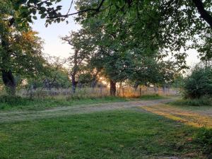 Tiny House De Betuwse Hofjes