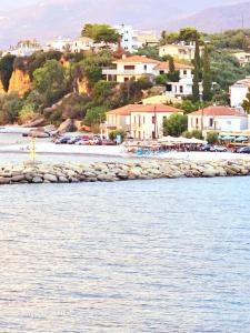 Agali 1 Mesonet In Front Of The Sea