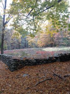 Apple Orchard & Forest Retreat with Woodland Pond