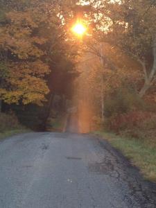 Apple Orchard & Forest Retreat with Woodland Pond