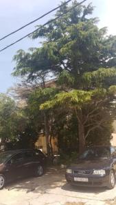 Apartment Novalja Center