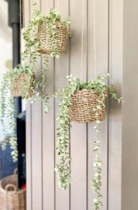 Hyggeligt Hjem 150M Fra Strandens Skønhed