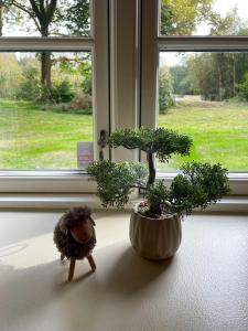 Forest Cabin With Charm And Original Details