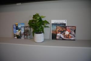 1 Bed - King size Nature to City Getaway