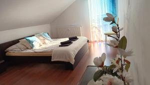 Sea&Lake Apartment View