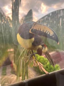 La Quinta Campestre Hotel boutique